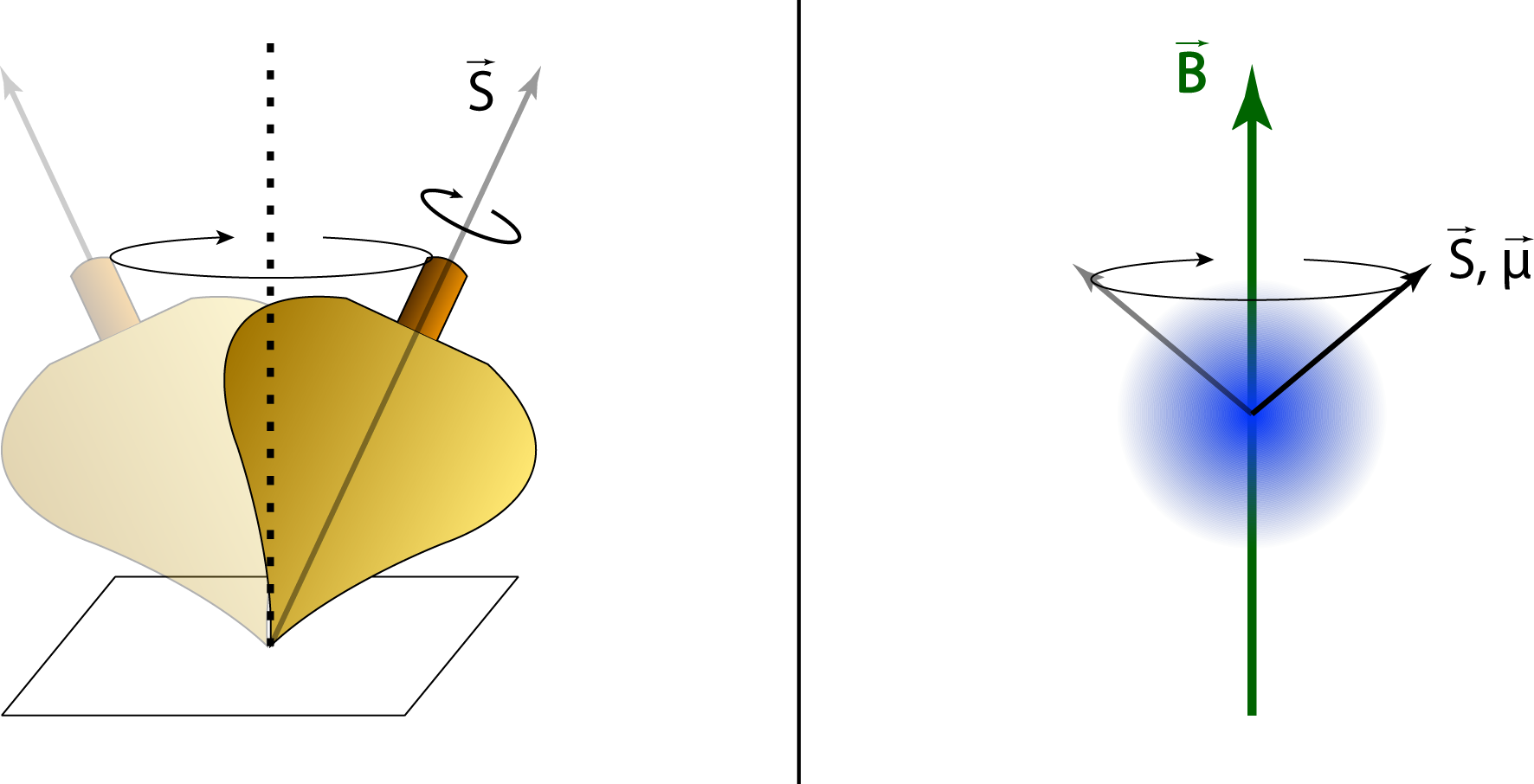 Examples of precession